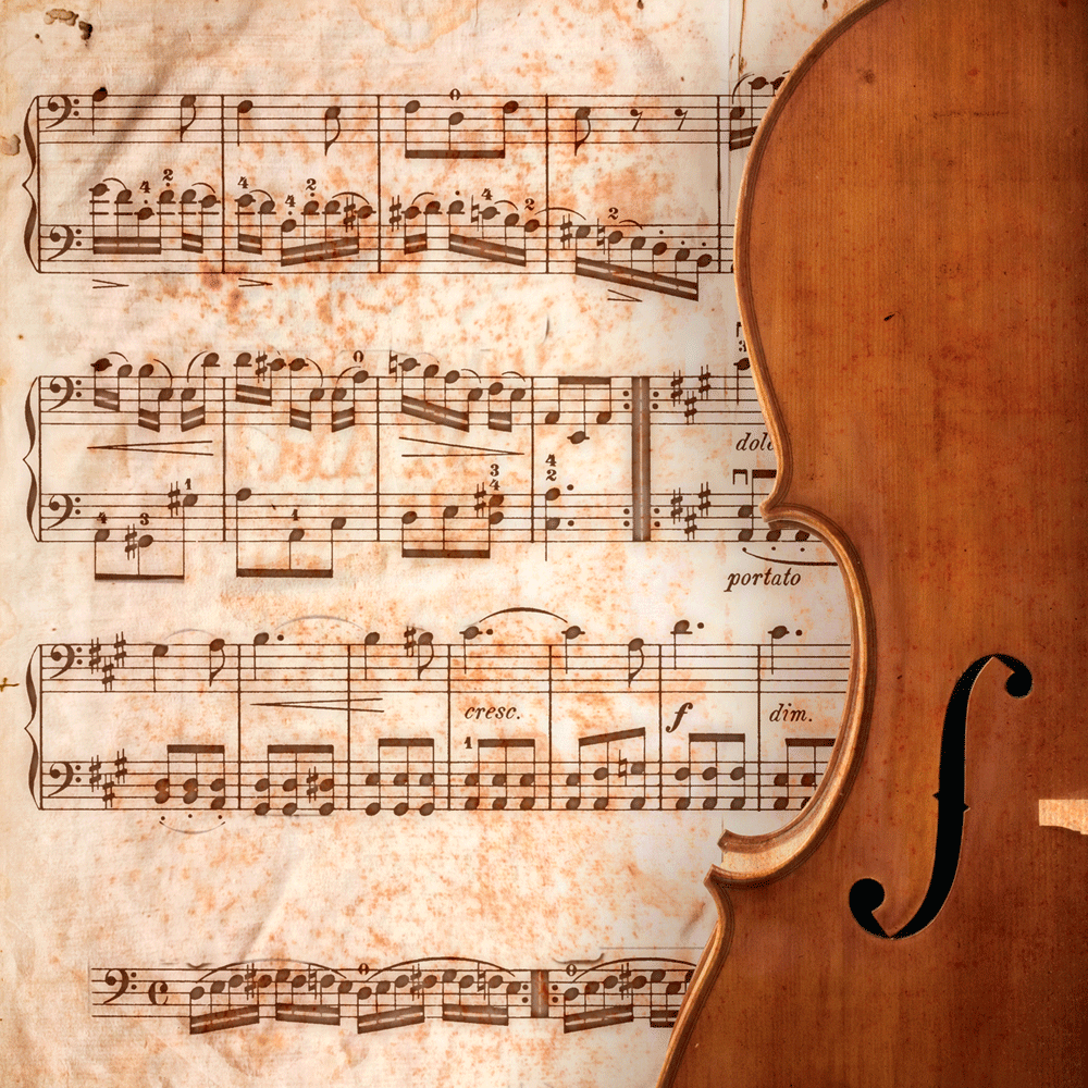 Sonatas and Partitas for Solo Violin Bach - Wikipedia