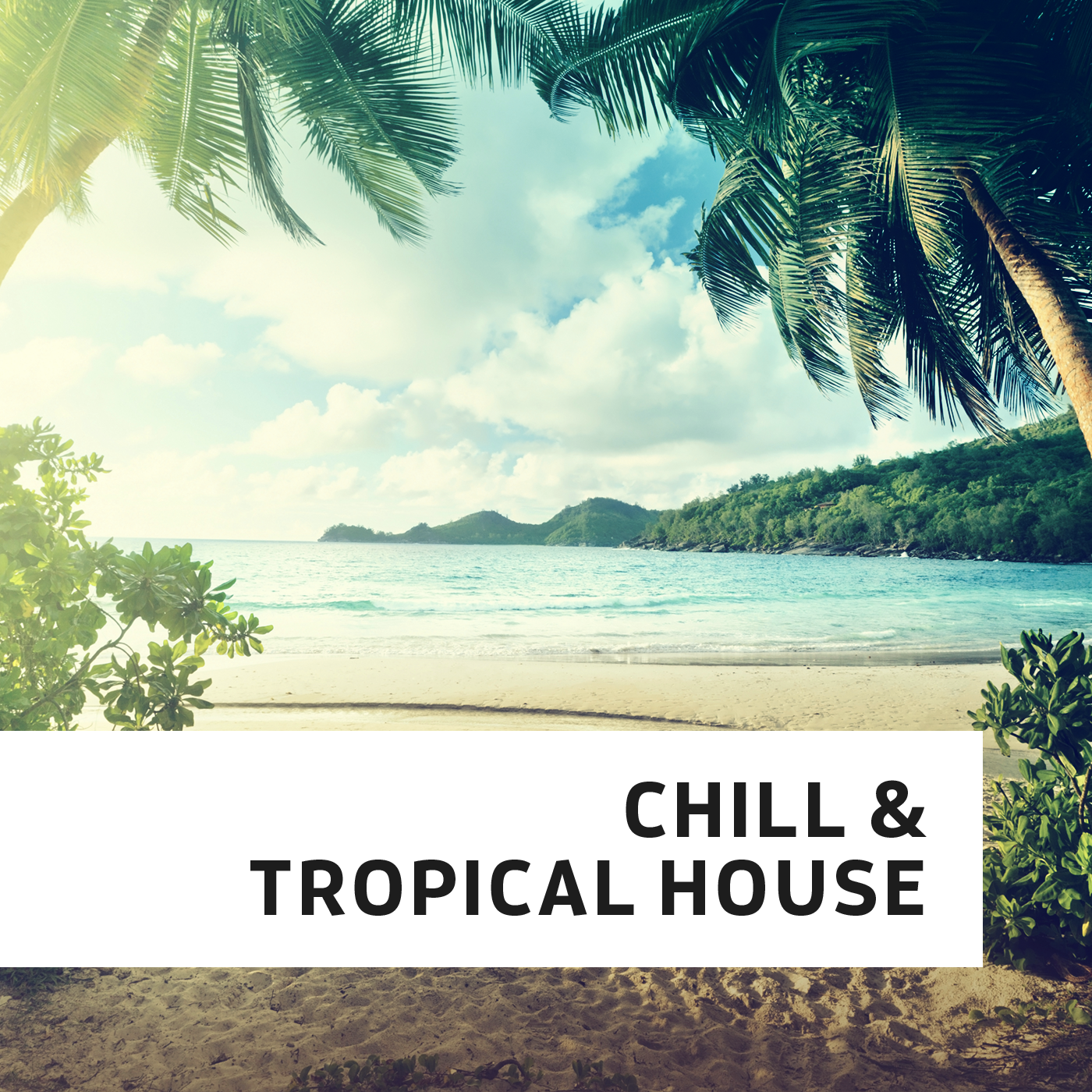 Tropical House. Tropical House Radio. Тропическая жара. Ди ФМ чил.
