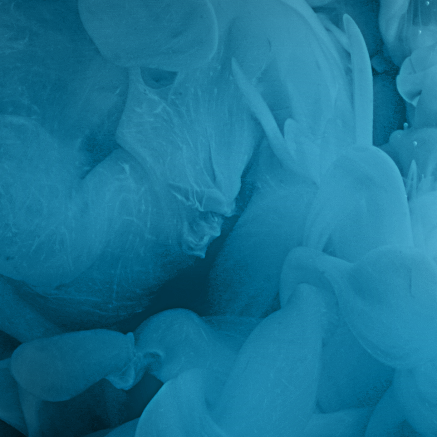 Ambient Radio Di Fm Addictive Electronic Music Ambient Radio Di Fm Addictive Electronic Music